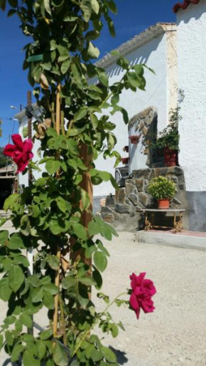 Cueva de la abuela, Castilléjar